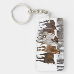 A winter scenic of running key ring
