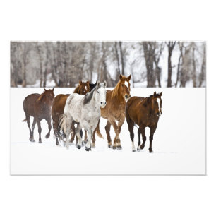 A winter scenic of running photo print