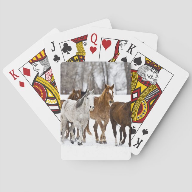 A winter scenic of running playing cards (Back)