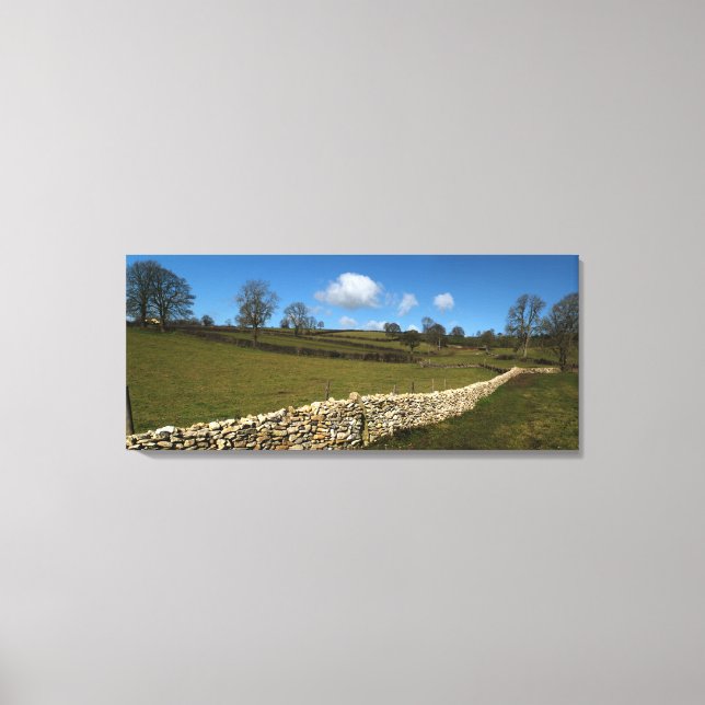 A Winter Wall Canvas Print (Front)