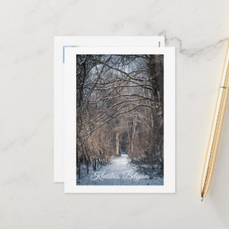 A Winters Day in Kluisbos Belgium Holiday Postcard