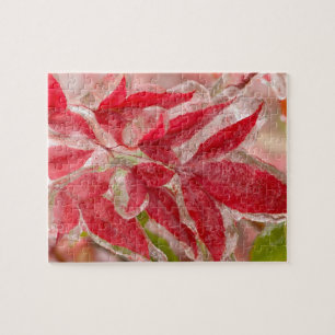 A winters ice storm covering the leaves of jigsaw puzzle