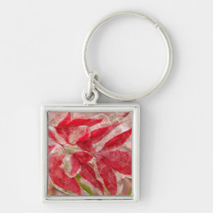 A winters ice storm covering the leaves of key ring