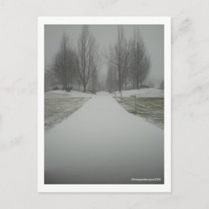 A Winter's Path.... Postcard