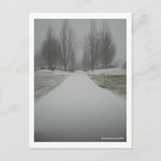 A Winter's Path.... Postcard