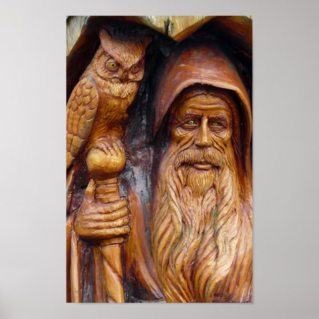 A Wizard and Owl Emerge From Cavern Poster (Front)