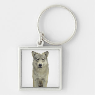 A wolf key ring
