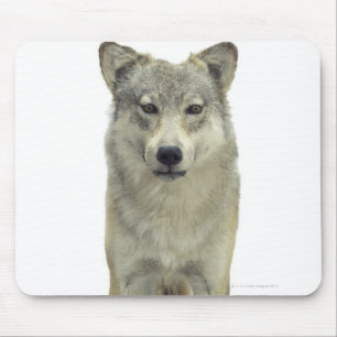 A wolf mouse mat