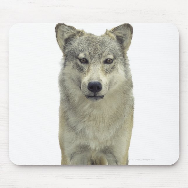 A wolf mouse mat (Front)