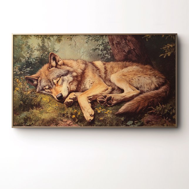 A Wolf Sleeping In The Forest Poster (Creator Uploaded)
