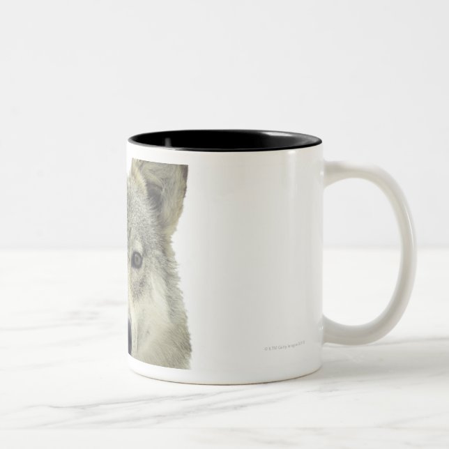 A wolf Two-Tone coffee mug (Right)