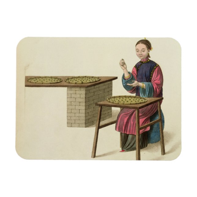 A Woman Preparing Tea, plate 21 from 'The Costume Magnet (Horizontal)