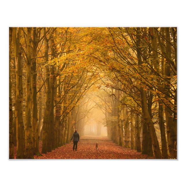 A woman walking with dog on a fall morning photo (Front)