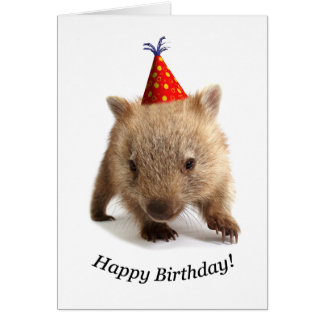 A wombat happy birthday