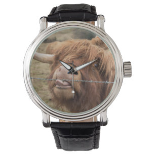 A wonderful photograph of a highland cow watch