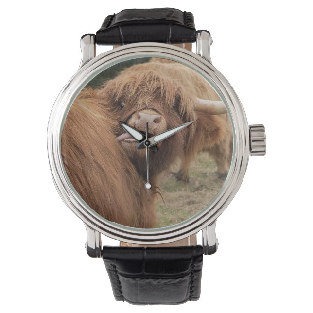 A wonderful photograph of a highland cow watch (Front)