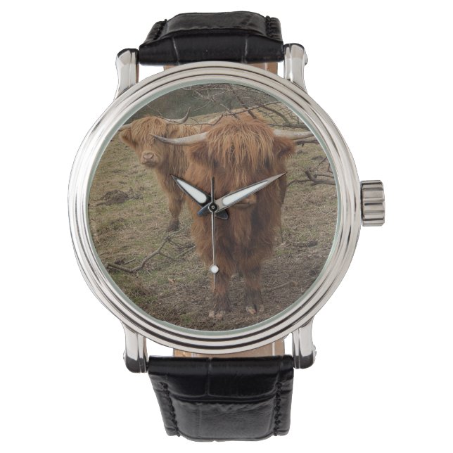 A wonderful photograph of a highland cow watch (Front)