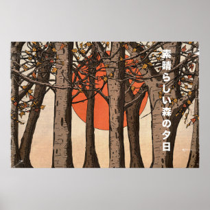 A Wonderful Woodland Sunset Poster