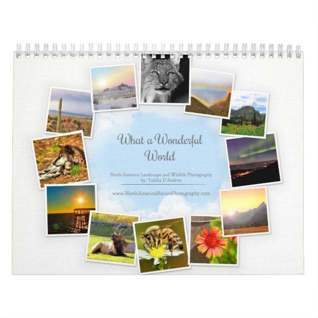 A Wonderful World Wildlife & Landscape Calendar (Cover)
