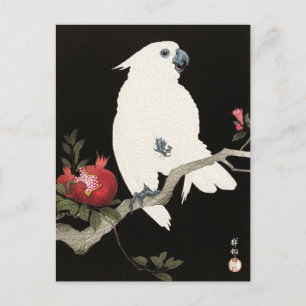 A woodblock print of a parrot drawn by Ohara Koson Postcard