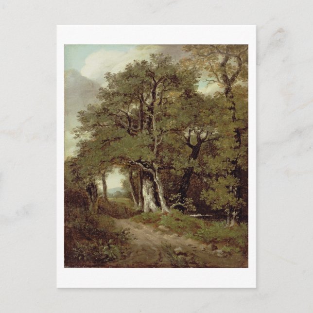 A Wooded Path Postcard (Front)