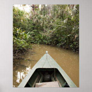 A wooden canoe made of Eucylptus tree floats in 2 Poster