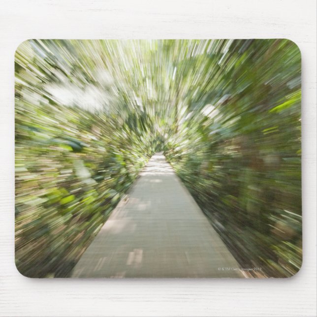 A wooden path through the rainforest in warped mouse mat (Front)