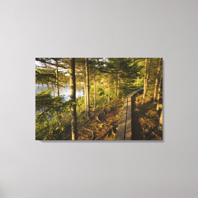A wooden walkway in Acadia National Park Maine Canvas Print (Front)