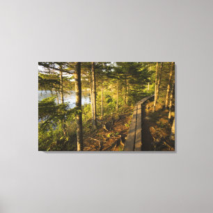 A wooden walkway in Acadia National Park Maine Canvas Print