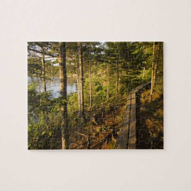 A wooden walkway in Acadia National Park Maine Jigsaw Puzzle (Horizontal)
