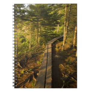 A wooden walkway in Acadia National Park Maine Notebook