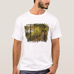 A wooden walkway in Acadia National Park Maine T-Shirt