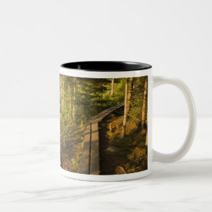 A wooden walkway in Acadia National Park Maine Two-Tone Coffee Mug