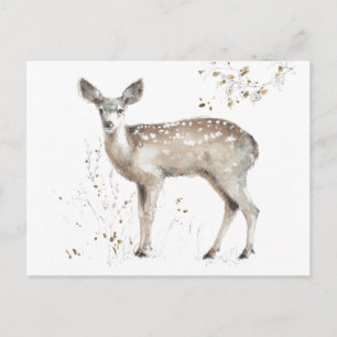 A Woodland Walk IX Postcard