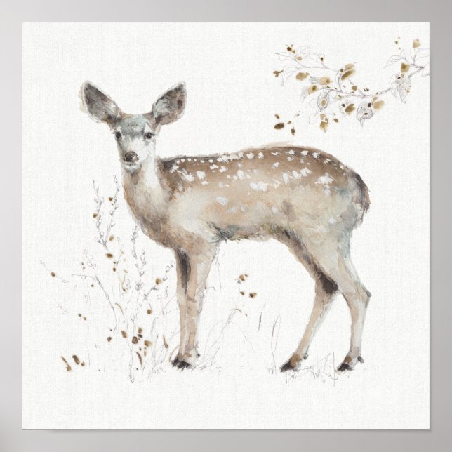 A Woodland Walk IX Poster (Front)