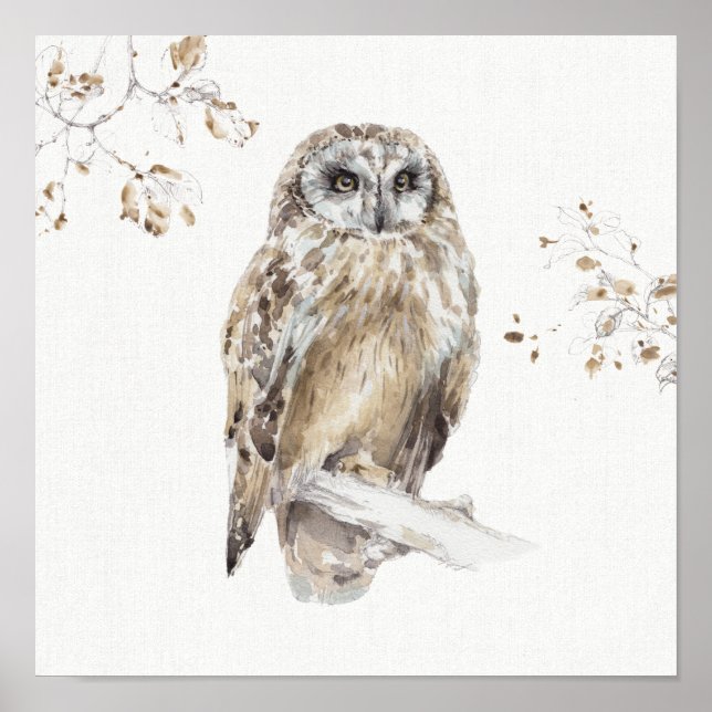 A Woodland Walk VIII Poster (Front)