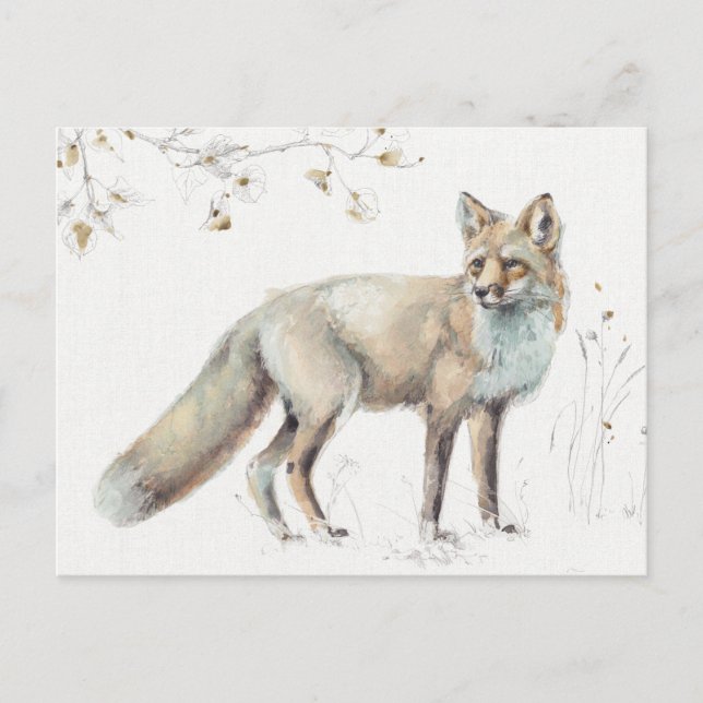 A Woodland Walk XI Postcard (Front)