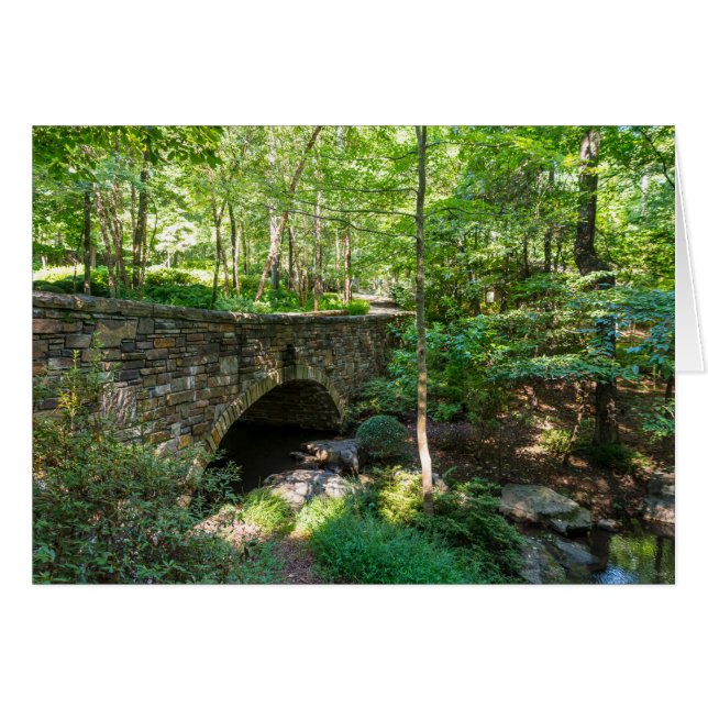 A Woodlands Walkway Bridge (Front Horizontal)