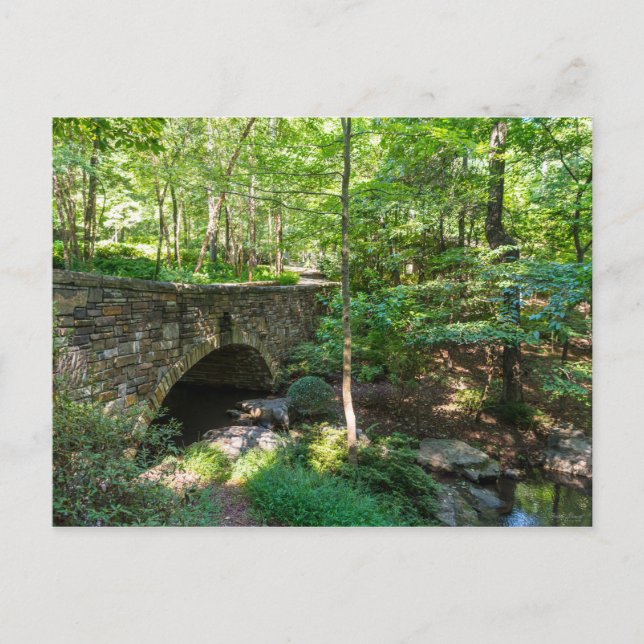 A Woodlands Walkway Bridge Postcard (Front)