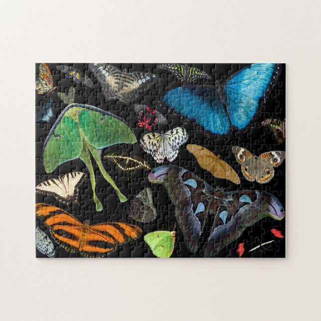A World of Butterflies and Moths. Jigsaw Puzzle (Horizontal)