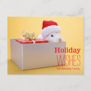 A wrapped gift and a rabbit with Santa Holiday Postcard