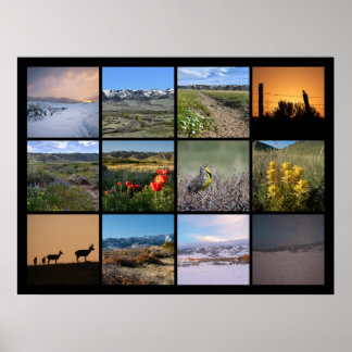 A Year at the Foot of Casper Mountain 2024 Poster