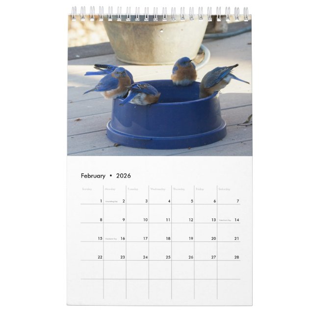 A Year Full of  Bluebirds Calendar (Feb 2026)