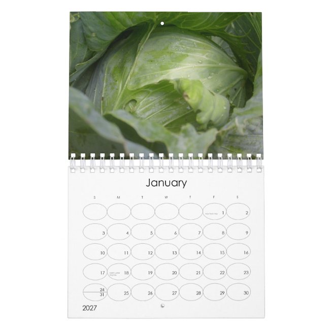 A Year in Fruits, Vegetables and Flowers Calendar (Jan 2027)