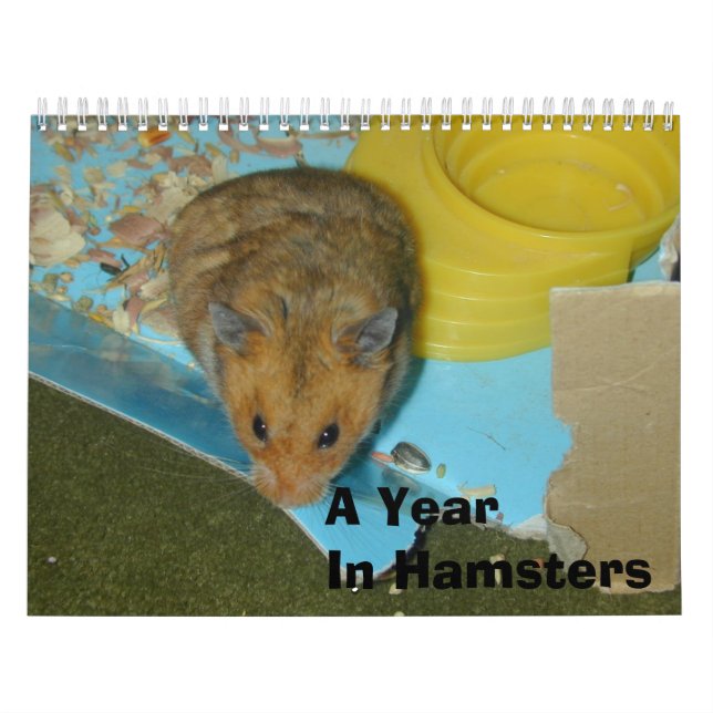 A Year in Hamsters 2010 Calendar (Cover)