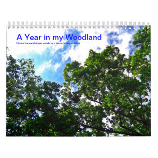 A Year in My Woodland 2014 Calendar