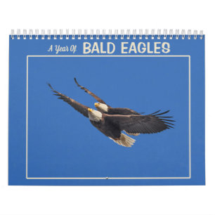 A Year Of Bald Eagles Calendar