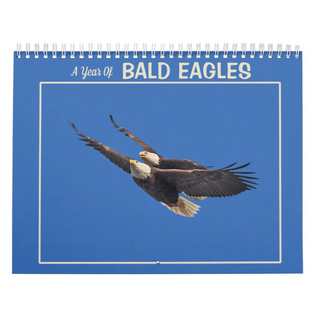 A Year Of Bald Eagles Calendar (Cover)