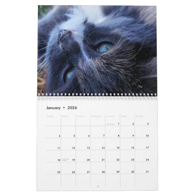 A Year of Cats -customise to any year you want Calendar (Jan 2026)
