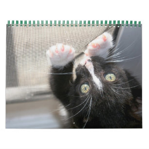 A year of fuzzybutts calendar